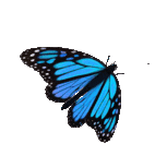 bluebutterflyhehro